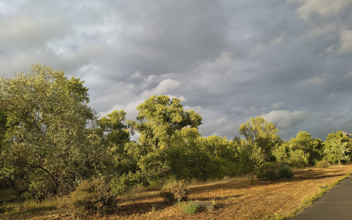 sunlight-after-rain