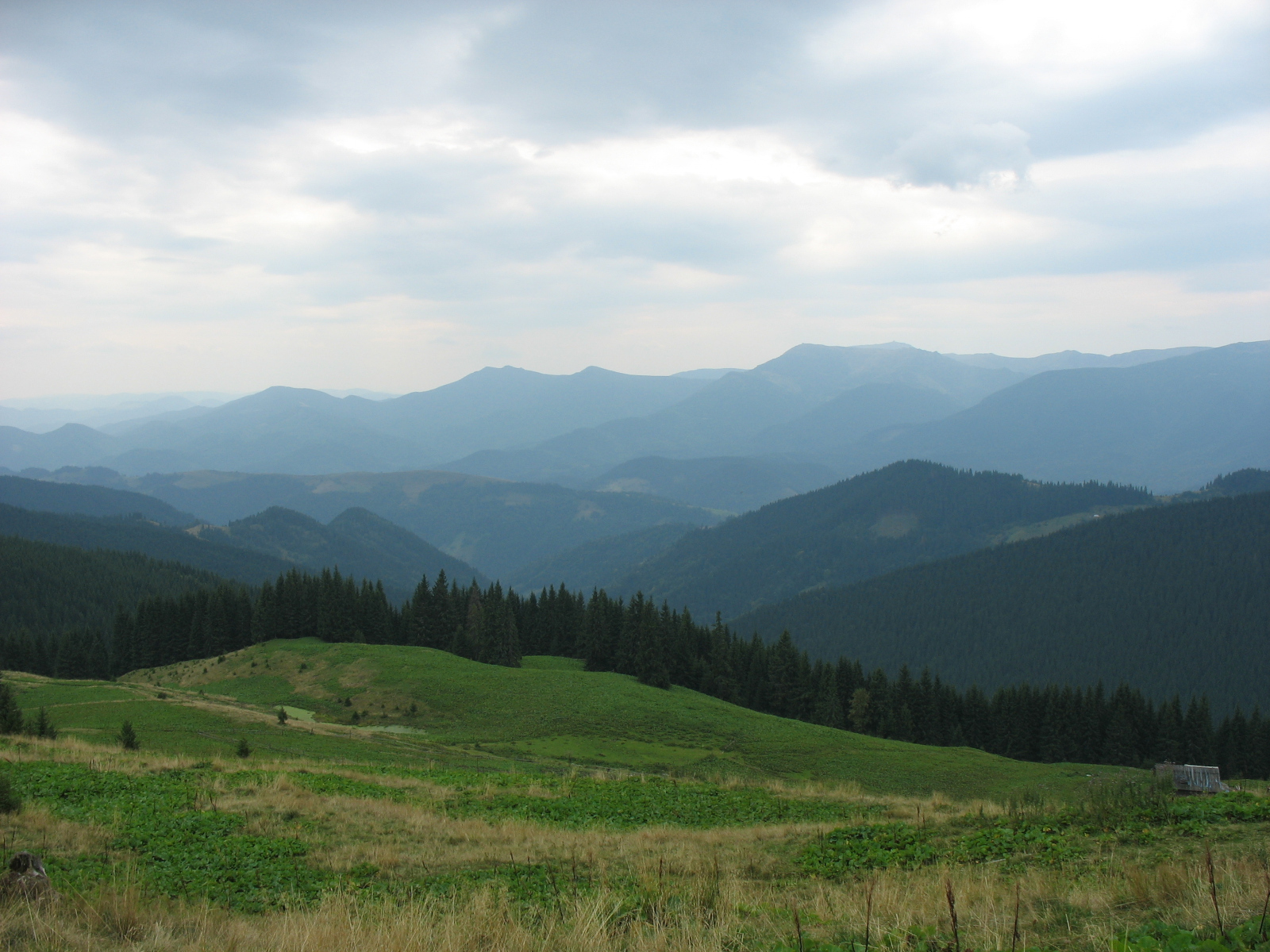Carpathians-3